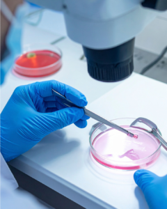 IVF lab technology Chicago