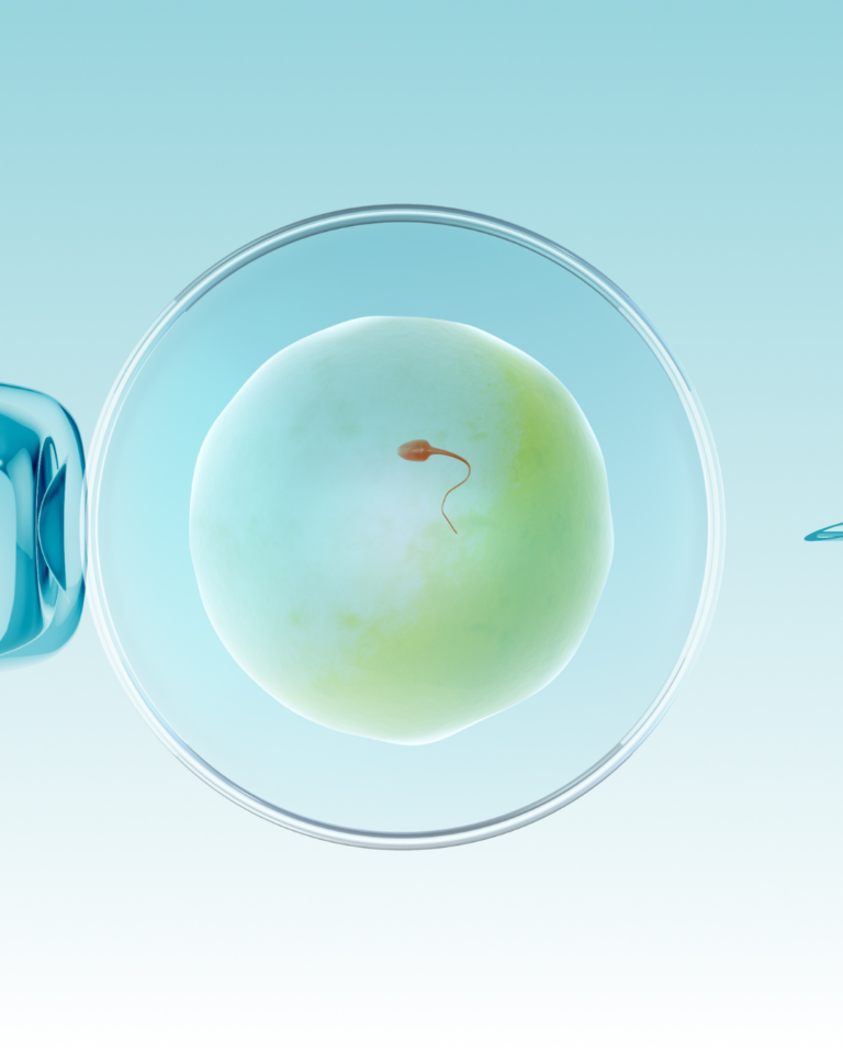 IVF success rates Chicago