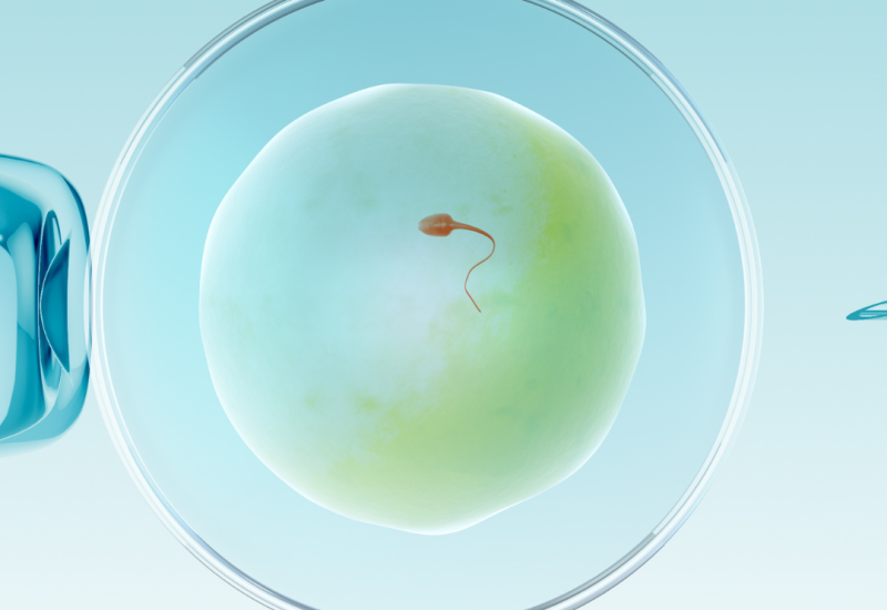 IVF success rates Chicago