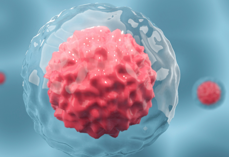 frozen embryo storage Chicago fertility clinic